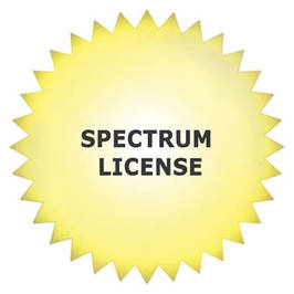 Digital Watchdog | DW Spectrum IPVMS 4 License